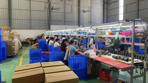 點贊！化州這個鎮“微工廠”遍地開花，留守婦女掙錢顧家兩不誤