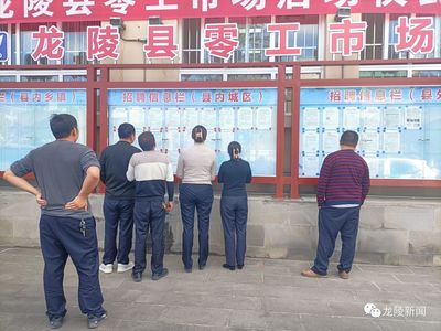 龍陵 多維度促進就業創業，高質量托穩民生幸福——職業中介服務的核心角色與創新實踐