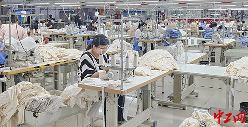 濟寧市兗州區 引項目搭橋梁，公共就業服務讓就業顧家兩不誤